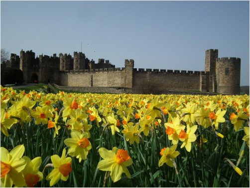 Alnwick Castle, AKA Hogwarts